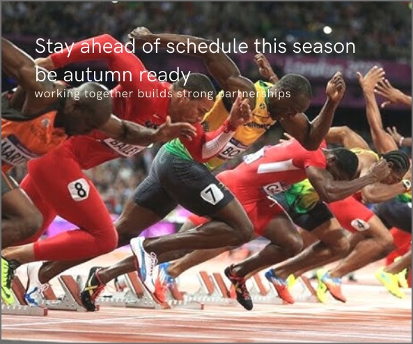 Stay ahead of Schedule